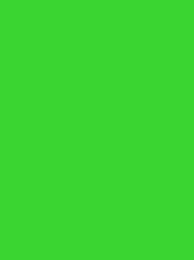 FROSTED MATT NO. 40 500M   NEON LIME