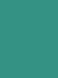 CLASSIC No. 30 625M (25G)  DARK  AQUA