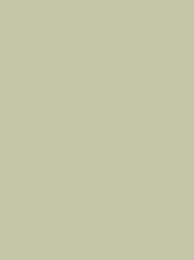 CLASSIC No. 30 625M (25G)  ASPEN  GREEN