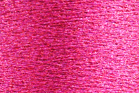Colour pink begonia