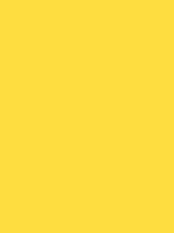 Colour dark yellow