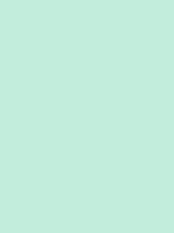 Colour mint pale