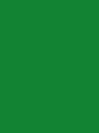 BURMILANA No. 12 1000M  (25G)  TURQUOISE GREEN 