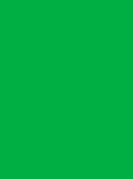 BURMILANA No. 12 1000M  (25G)  BRIGHT GREEN