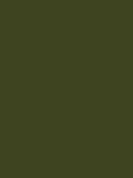 TANNE No. 30 1000M  (25G) DARK OLIVE