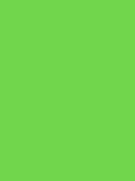 BURMILANA No. 12 1000M  (25G) BRIGHT GREEN