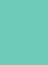 BURMILANA No. 12 1000M  (25G)  TURQUOISE GREEN