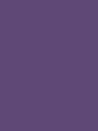 FROSTED MATT No. 40 1000M  PURPLE