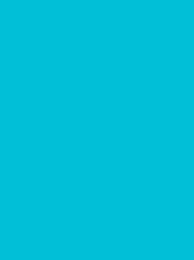 FROSTED MATT No. 40 2500M  TURQUOISE