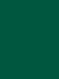 FROSTED MATT No. 40 500M   PINE GREEN