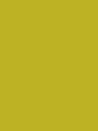 FROSTED MATT No. 40 2500M  GREEN LIME