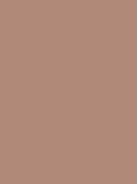 FROSTED MATT No. 40 2500M  BROWN BEIGE