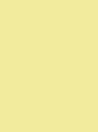 FROSTED MATT No. 40 500M   PALE YELLOW