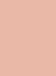 FROSTED MATT NO. 40 500M   BLUSH