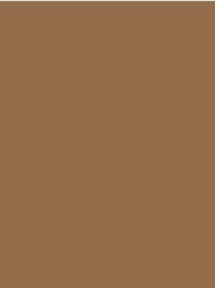 CLASSIC No. 40 1000M LIGHT  BROWN