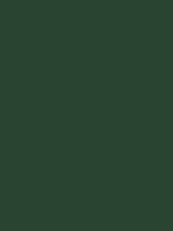 RAYON No. 40 200M PINE GREEN DARK 