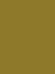 Colour olive