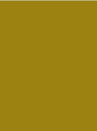 CLASSIC No. 40  5000M  MUSTARD