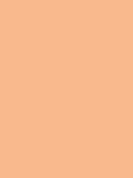 CLASSIC No. 40  1000M  APRICOT