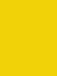 RAYON No. 40 1000M  MIMOSA YELLOW