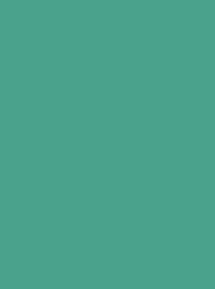 CLASSIC No. 40  1000M JADE  GREEN