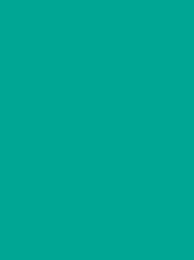 CLASSIC No. 40 1000M SEA  GREEN