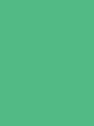 RAYON No. 40 200M WILLOW GREEN DARK