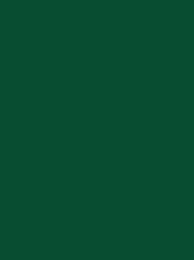 RAYON No. 40 200M FOREST GREEN