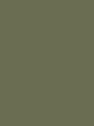 Colour green olive pale