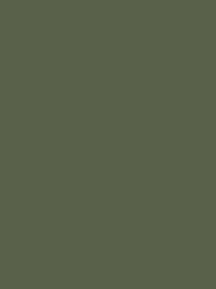 CLASSIC No. 40 5000M  OLIVE