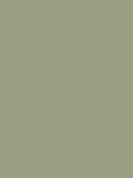Colour green aspen