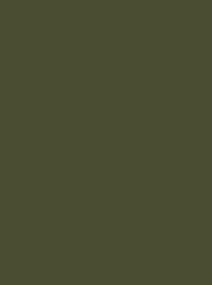 CLASSIC No. 40 1000M GREEN  BROWN