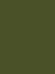 CLASSIC No. 40 5000M GREEN DARK