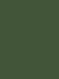 CLASSIC No. 30 625M (25G)  FOREST  GREEN