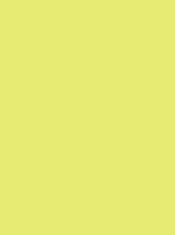 POLYNEON No. 40 1000M PALE  GREEN