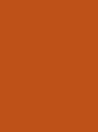 POLYNEON No. 40  1000M BURNT  ORANGE