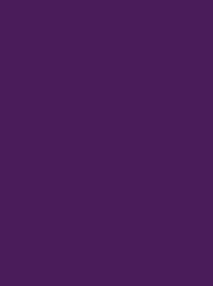 POLYNEON GREEN No. 40  1000M  PURPLE