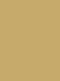 POLYNEON No. 60 1500M BEIGE