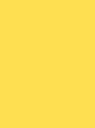 POLYNEON No. 40 1000M  LEMON