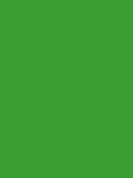 POLYNEON No. 40  5000M LEAF  GREEN