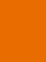 POLYNEON No. 40  400M  TRUE ORANGE