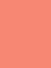 POLYNEON No. 40  1000M  SALMON