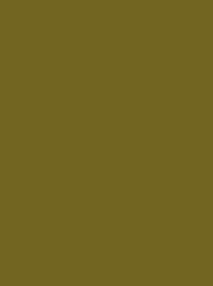 Colour dk khaki