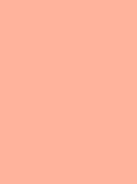 POLYNEON No. 40  400M  PEACH