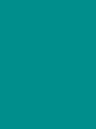 POLYNEON No. 40  5000M  TURQUOISE