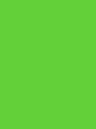 POLYNEON No. 40  5000M FLUORESCENT LIME