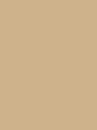 POLYNEON No. 60  1500M BEIGE