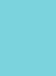 POLYNEON No. 60 1500M TURQUOISE