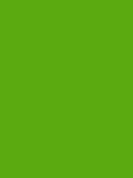 POLYNEON No. 40 1000M FLUORESCENT GREEN