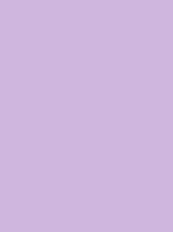 POLYNEON No. 40 1000M PALE  LILAC